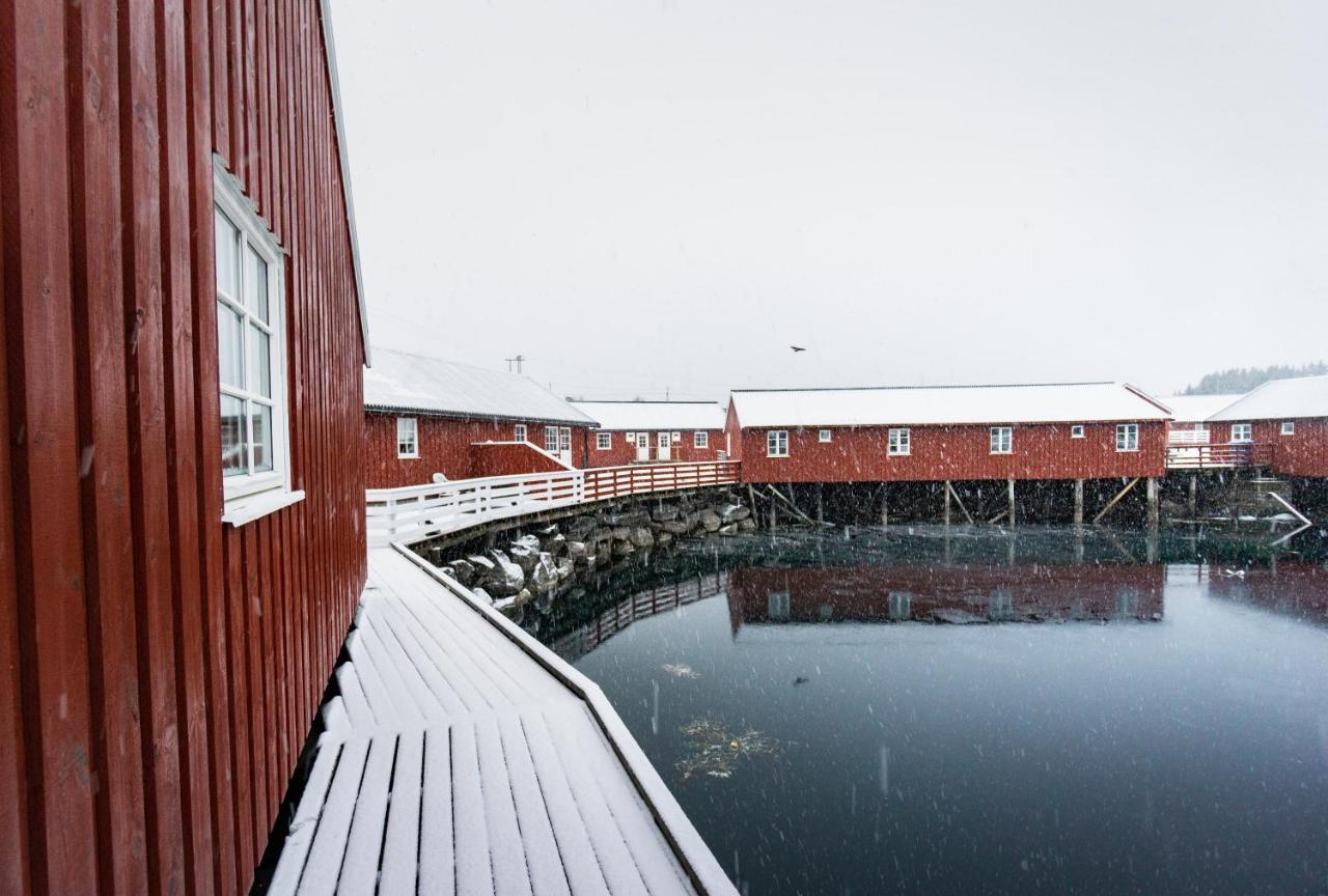 Lofoten Cabin And Kayak Rental Stamsund Exterior foto